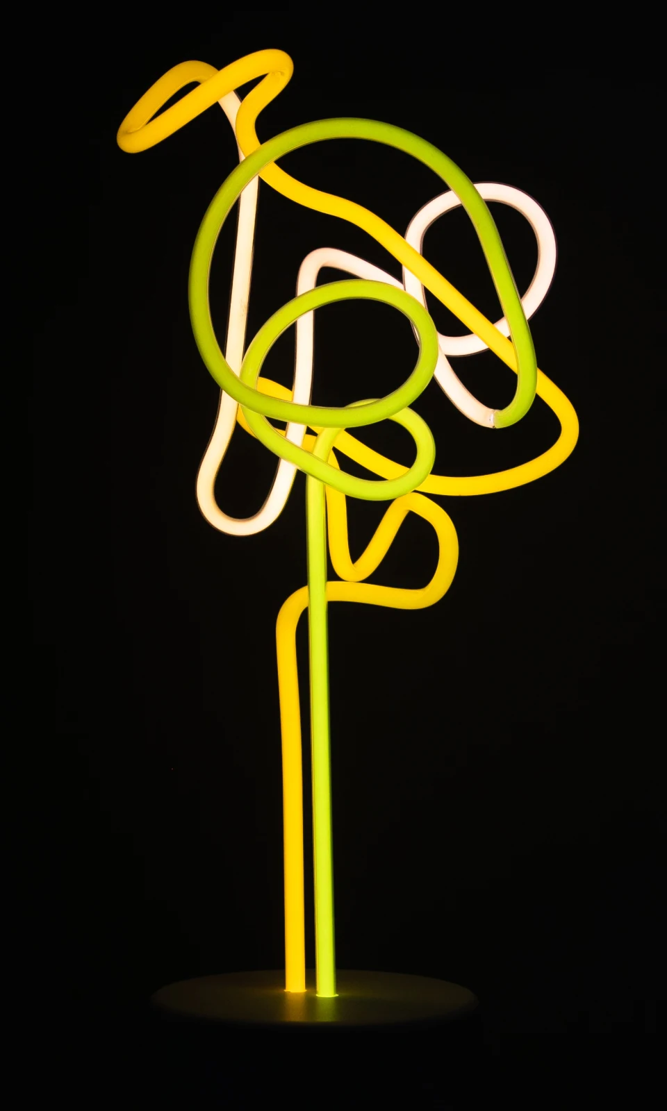 mashgallery-lisa-schulte-ingenue-2019