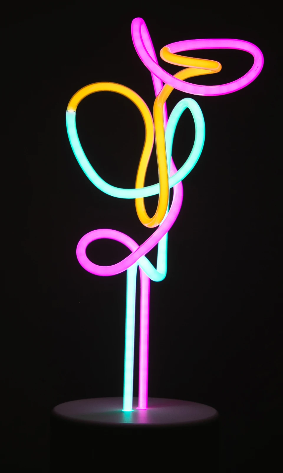 mashgallery-lisa-schulte-nerine-2019