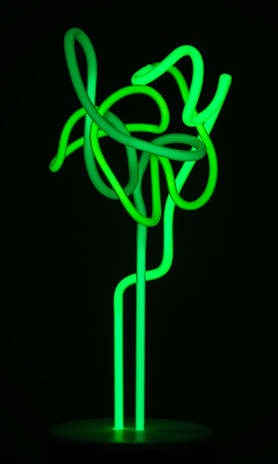 mashgallery-lisa-schulte-zinis-2019