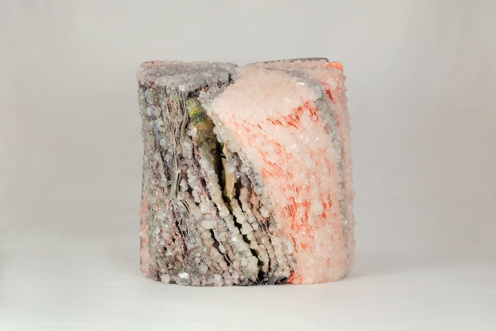 mashgallery-alexis-arnold-audobon-society-field-guide-2019