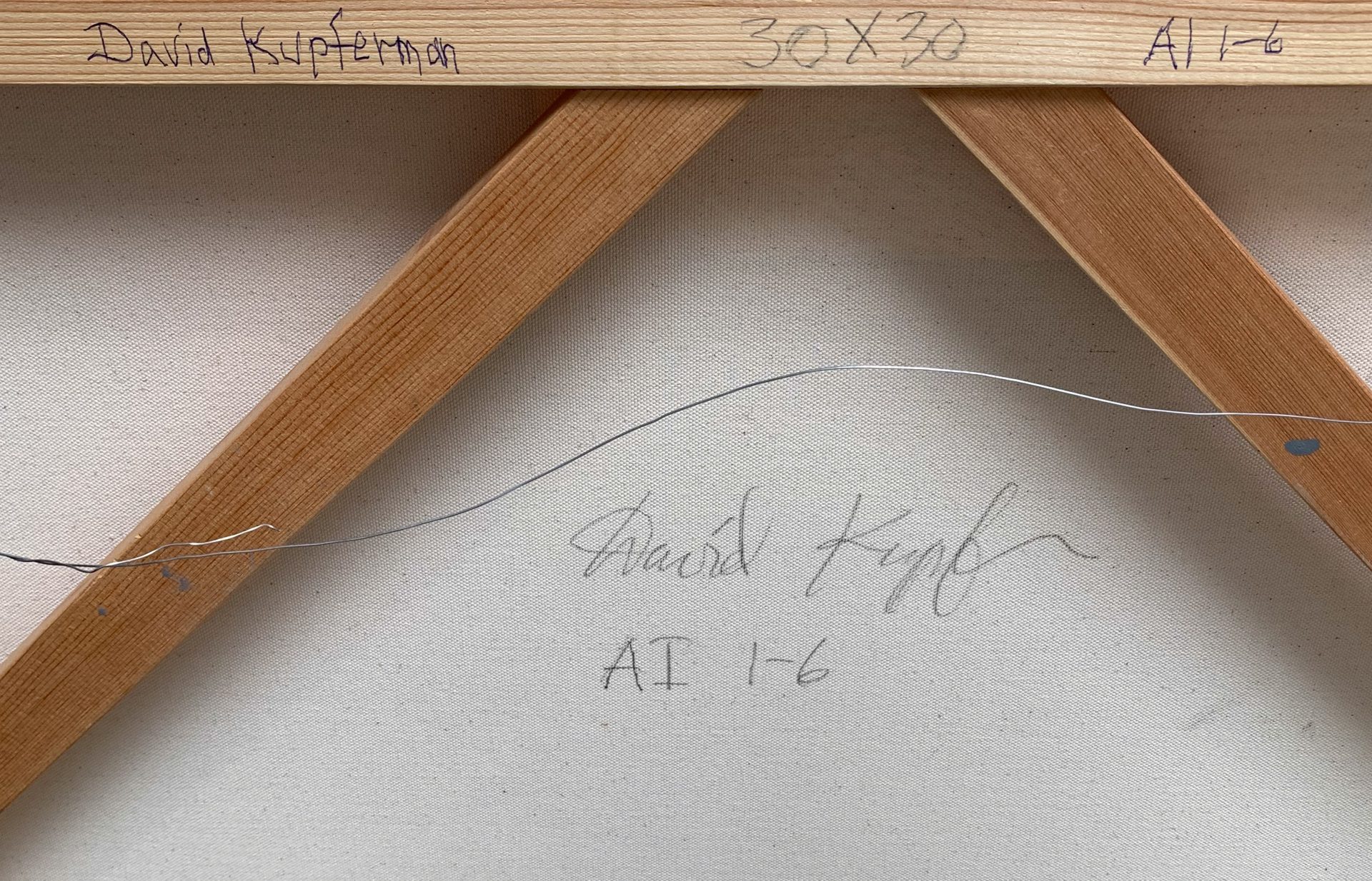 AI 1-6 David Kupferman Signature