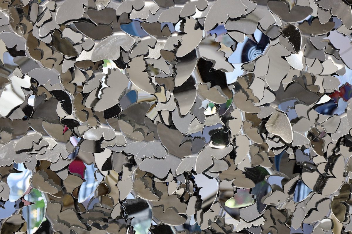 A6B77917-ECC8-4F49-8E3D-3620F493ADC2_1_201_a